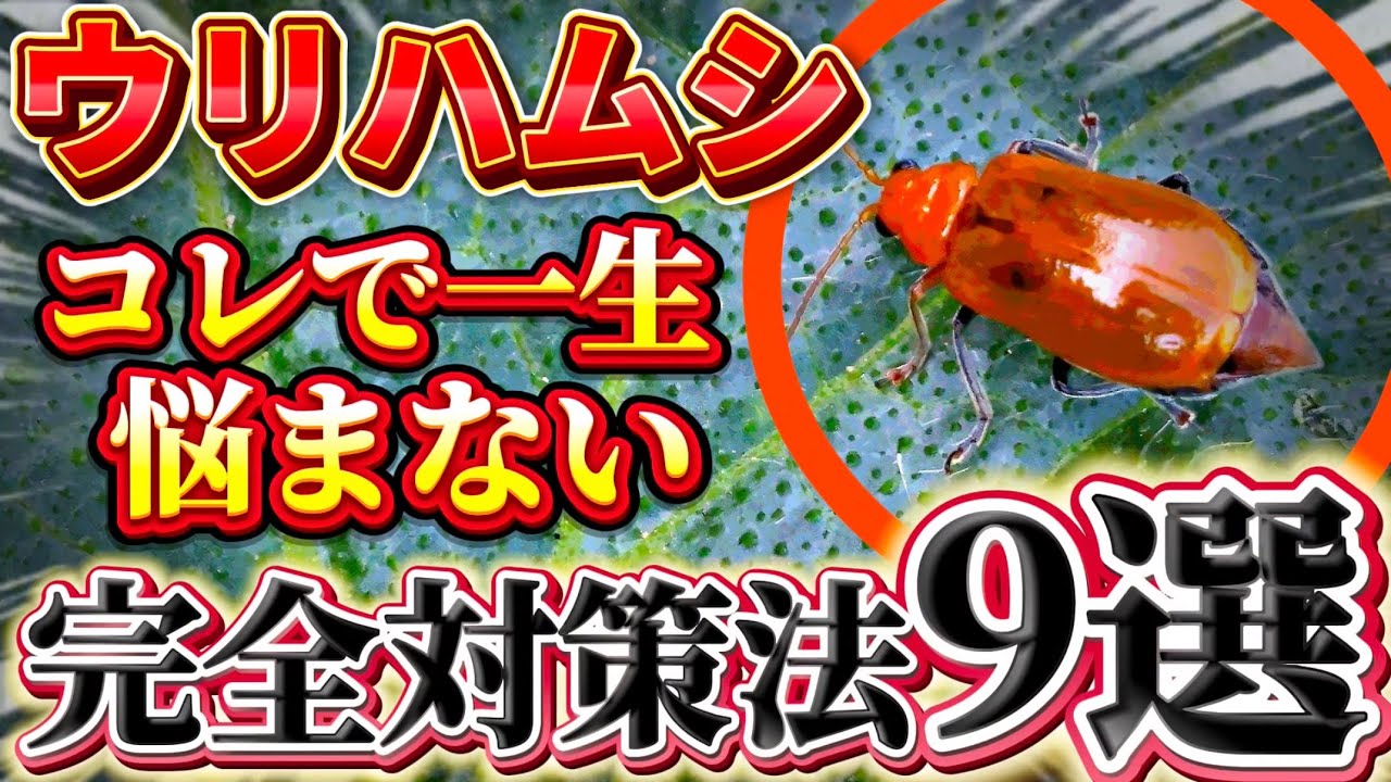 サムネ