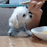 アイコン