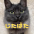 アイコン
