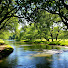Nature Peaceful Vibes のアイコン