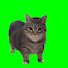アイコン