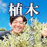 アイコン