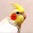アイコン