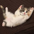 アイコン