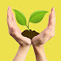 Webgarden のアイコン