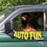 AUTO FUN のアイコン